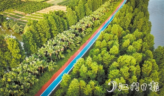 江海區(qū)鄉(xiāng)村綠廊碧帶串聯(lián)多個(gè)公園和自然景觀區(qū)，成為市民休閑娛樂(lè)的好去處。