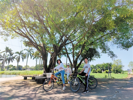 深圳游客在江門暢享“3.3精彩之旅”。