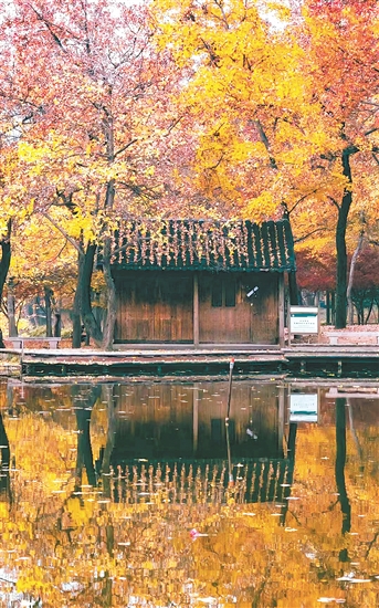 太平山秋色惹人醉。