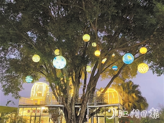 臺山新娘房農(nóng)場餐廳內(nèi)設(shè)有當下流行的休閑元素星空房。