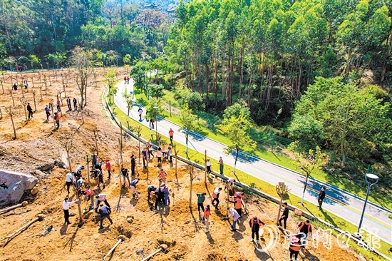 蓬江區(qū)在杜阮涼瓜田園綜合體開展2024年推進(jìn)綠美廣東生態(tài)建設(shè)義務(wù)植樹活動。