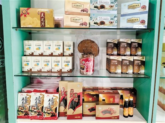 琳瑯滿目的靈芝類產(chǎn)品。