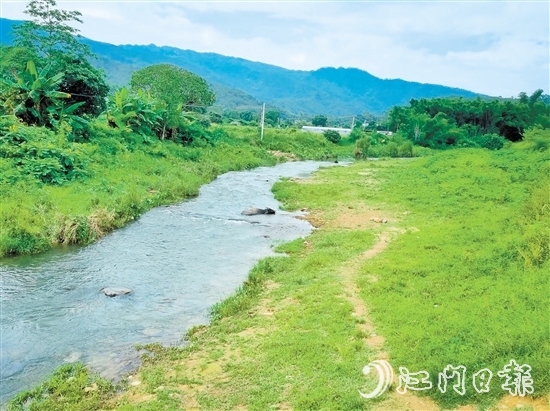 鶴城鎮(zhèn)萬和村河灘草地露營點。
