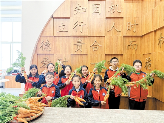 江海區(qū)景賢小學(xué)寒假志趣作業(yè)獲獎學(xué)生收到了該校學(xué)生親手栽種的胡蘿卜。