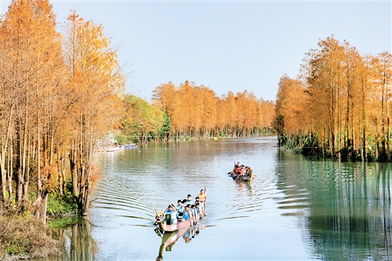 禮樂龍舟訓(xùn)練基地風(fēng)景如畫。