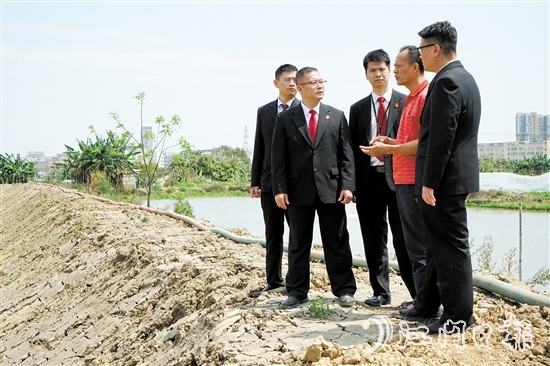 執(zhí)行法官在田間地頭向當(dāng)事人了解案情。