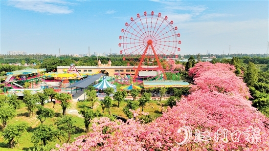 依托禮樂街道獨特旅游資源，長廊生態(tài)園開發(fā)研學(xué)旅游項目，賦能“江門三點三精彩之旅”品牌建設(shè)。