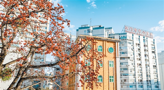 江門(mén)市中心醫(yī)院將不斷優(yōu)化就醫(yī)流程和環(huán)境。