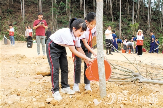 恩平華附學(xué)校的學(xué)生也參加了在泉林黃金小鎮(zhèn)舉行的植樹活動(dòng)。