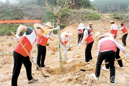 在植樹活動(dòng)中，大家揮鍬培土，干勁十足，為恩平增添綠意，為全運(yùn)會(huì)舉辦貢獻(xiàn)自己的力量。