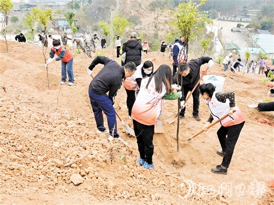 2025年蓬江區(qū)鄉(xiāng)村綠化主題植樹活動(dòng)在五洞村舉行，黨員群眾攜手種下一棵棵樹苗。