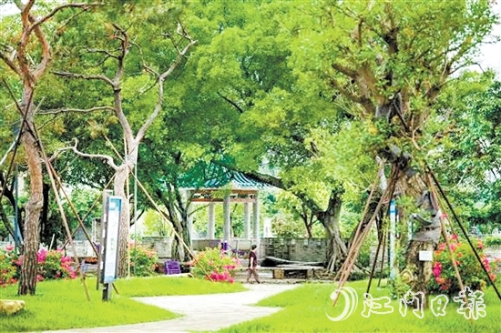 去年，鶴山開展城鄉(xiāng)一體綠美行動，著力推進(jìn)縣鎮(zhèn)村綠化攻堅，累計種植苗木14.8萬株。