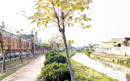 新橋水流域經(jīng)過治理后，環(huán)境大大改善。