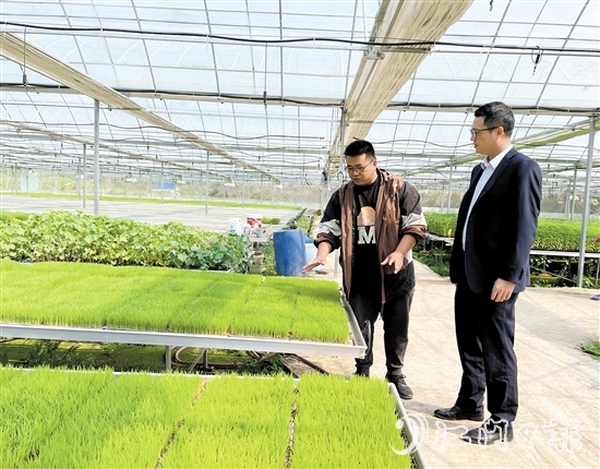 臺山農(nóng)商銀行客戶經(jīng)理上門對接農(nóng)戶春耕融資需求。