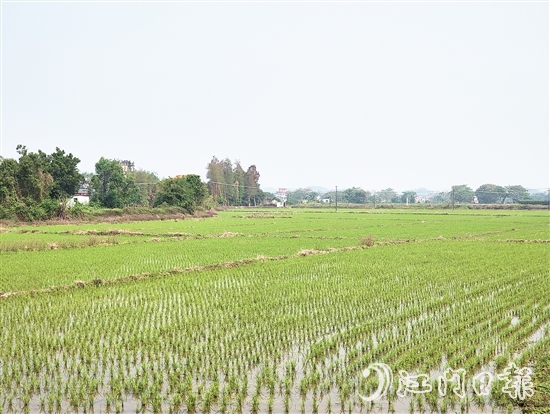 2024年，塘口新增耕地超49公頃，為鄉(xiāng)村振興注入了新動能。