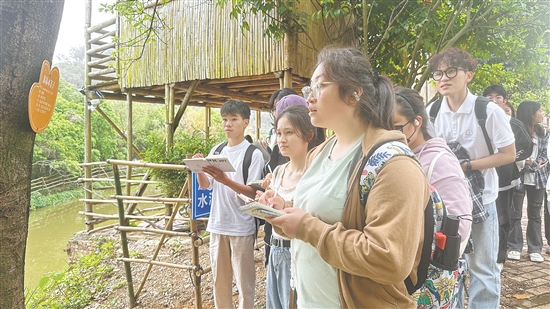 學(xué)生們在基地觀察各類植物。