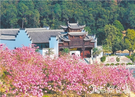 共和鎮(zhèn)來(lái)蘇村利用去年擂臺(tái)比武獲得的獎(jiǎng)勵(lì)資金進(jìn)行一系列鄉(xiāng)村建設(shè)。圖為來(lái)蘇山水人家文旅項(xiàng)目。