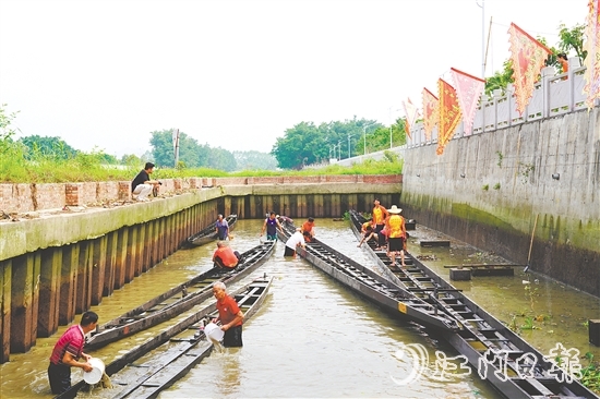 大澤鎮(zhèn)牛勒村將龍舟從泥潭中挖出。