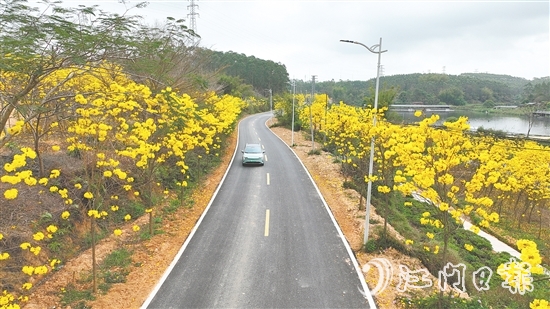 如今，縣道X552的面貌煥然一新，成為鄉(xiāng)村一道新風(fēng)景。