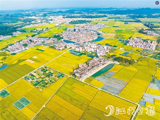 恩平土壤肥沃，富含“硒”元素，該市正努力推動讓“硒”資源轉(zhuǎn)化為富民強市的“硒”經(jīng)濟。圖為恩平市牛江鎮(zhèn)。