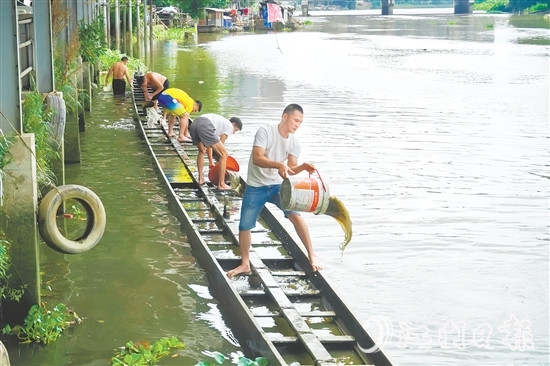 掏泥沙、舀泥漿，長沙街道愛民村委會杜澄村村民分工合作，“請”出河中的“金龍”。