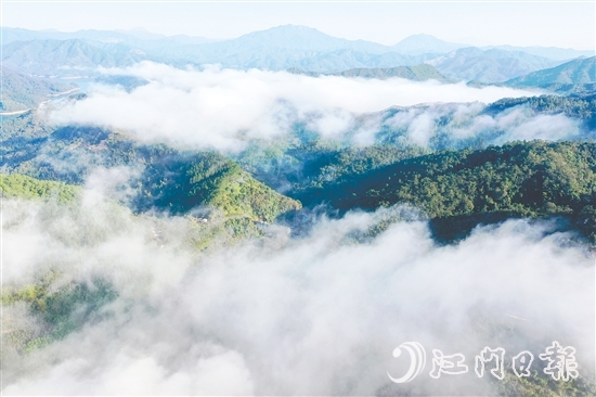 七星坑保護區(qū)的森林覆蓋率高達98%，負氧離子濃度年平均值達2192個/立方厘米，遠超世界衛(wèi)生組織界定的清新空氣標準（≥1000個/立方厘米）。