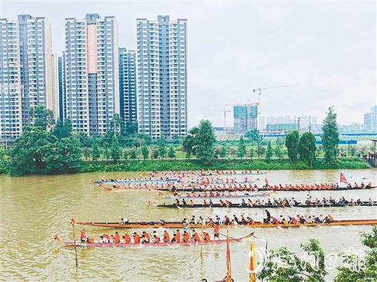 在長沙街道杜澄片區(qū)的蒼江河畔，每逢端午時(shí)節(jié)，十余艘龍舟劈波斬浪，兩岸人聲鼎沸。