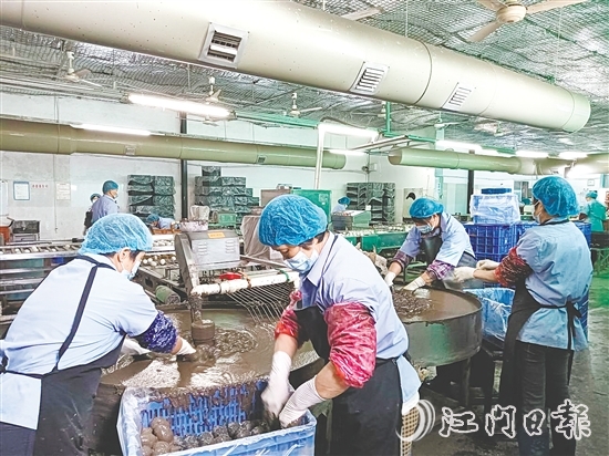 龔邊村依托本地特色農(nóng)業(yè)企業(yè)，深挖本地特色資源，強(qiáng)龍頭、補(bǔ)鏈條、樹品牌，將傳統(tǒng)手藝轉(zhuǎn)化為年產(chǎn)值超2000萬(wàn)元的支柱產(chǎn)業(yè)，一枚枚咸香流油的咸鴨蛋成為富民強(qiáng)村的“金鑰匙”。