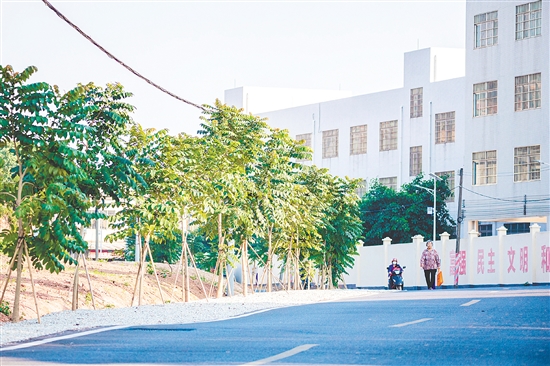 昆中村實(shí)施主干道環(huán)境提升項(xiàng)目。