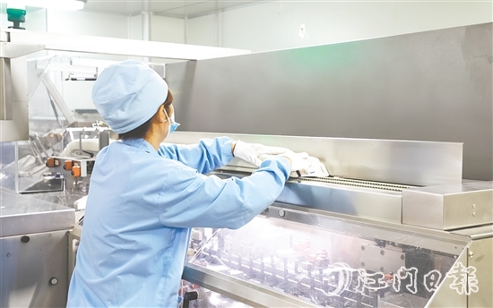 在生物醫(yī)藥產(chǎn)業(yè)領(lǐng)域，開平市聚焦生產(chǎn)制造端，在珠江西岸率先構(gòu)建起“原料藥—化藥制劑—醫(yī)療器械—流通服務(wù)—終端需求”的垂直整合型產(chǎn)業(yè)生態(tài)。圖為廣東彼迪藥業(yè)有限公司生產(chǎn)車間。