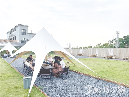 聞著稻香喝咖啡、住民宿，成為不少城市人放松身心的選擇。