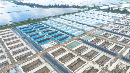 汶村鎮(zhèn)今年新引進(jìn)華辰水產(chǎn)，這是集研發(fā)、規(guī)模化養(yǎng)殖、生產(chǎn)于一體的現(xiàn)代化項(xiàng)目。