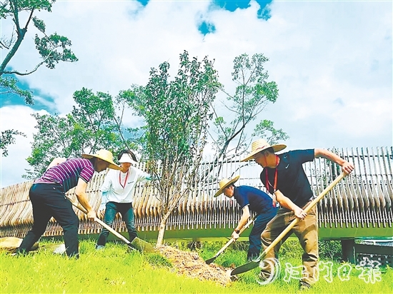會(huì)城街道人大代表在小鳥(niǎo)天堂國(guó)家濕地公園種下40多株桃花樹(shù)苗。