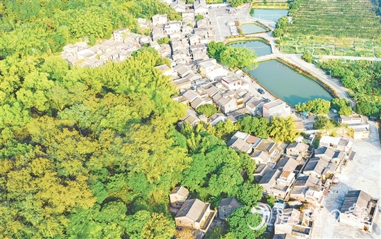 大江鎮(zhèn)石橋村華僑資源豐富，村內(nèi)有成片僑房形成的僑韻景觀。