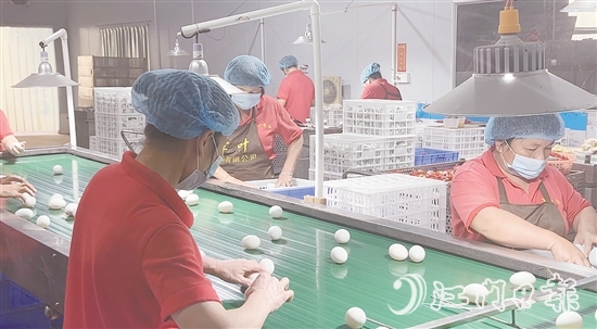 赤水鎮(zhèn)現(xiàn)已形成集種鴨繁育、生態(tài)養(yǎng)殖、飼料供應(yīng)、肉禽屠宰、蛋品加工、冷鏈物流于一體的完整產(chǎn)業(yè)鏈，產(chǎn)業(yè)總產(chǎn)值超5億元。