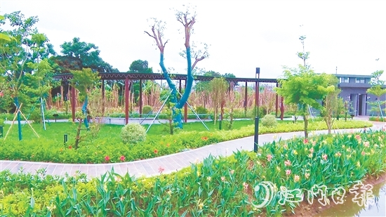 沙東村的村容村貌煥然一新。