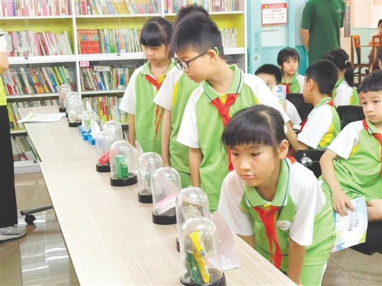 學(xué)生們有序參觀毒品仿真模型。