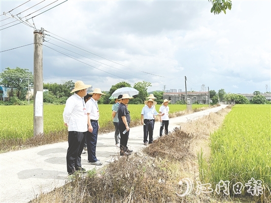 人大代表們到石青村視察典型村建設(shè)情況。