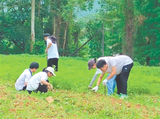 隊員們在田間進行除草工作。