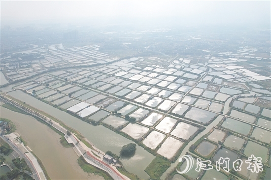 古勞鎮(zhèn)大埠村實(shí)行“股票田改革”，帶動(dòng)村集體經(jīng)濟(jì)蓬勃發(fā)展，村民以田入股實(shí)現(xiàn)穩(wěn)定增收。