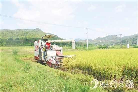 恩平農(nóng)業(yè)機(jī)械化水平提升。