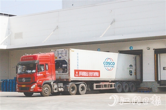 在廣東供銷（江門恩平）天業(yè)冷鏈物流產(chǎn)業(yè)園的支持下，恩平馬鈴薯實現(xiàn)出口外銷、錯峰銷售。