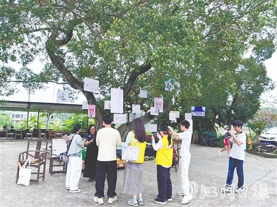 胡丹陽(yáng)選擇將畫(huà)展搬到倉(cāng)東村的大榕樹(shù)下。