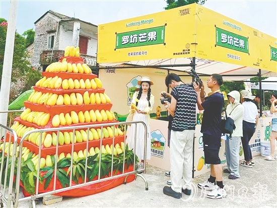 “芒果金字塔”吸引眾多游客前來(lái)打卡。