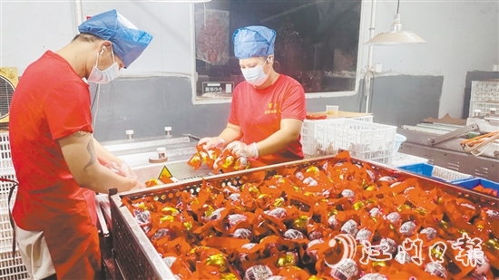 赤水鎮(zhèn)依托麻鴨養(yǎng)殖傳統(tǒng)優(yōu)勢，錨定“精深加工”做文章。