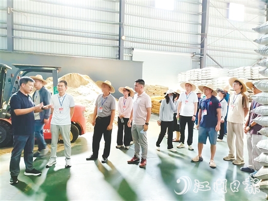 人大代表視察粵翔公司魚粉加工現(xiàn)場。