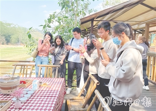 今年3月，開平市組織市重點自媒體走進大沙鎮(zhèn)開展花海茶田系列采風(fēng)活動。