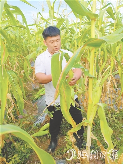 吳偉光的故事是新時(shí)代青年扎根鄉(xiāng)土的生動(dòng)注腳，也是鄉(xiāng)村振興大潮中萬(wàn)千返鄉(xiāng)青年拼搏奮進(jìn)的真實(shí)寫照。