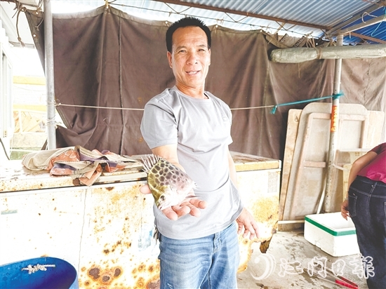 老漁民利叔展示新鮮漁獲。