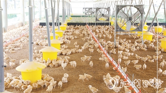 智能化管理系統(tǒng)全方位改善養(yǎng)殖環(huán)境，實(shí)現(xiàn)科學(xué)養(yǎng)殖。